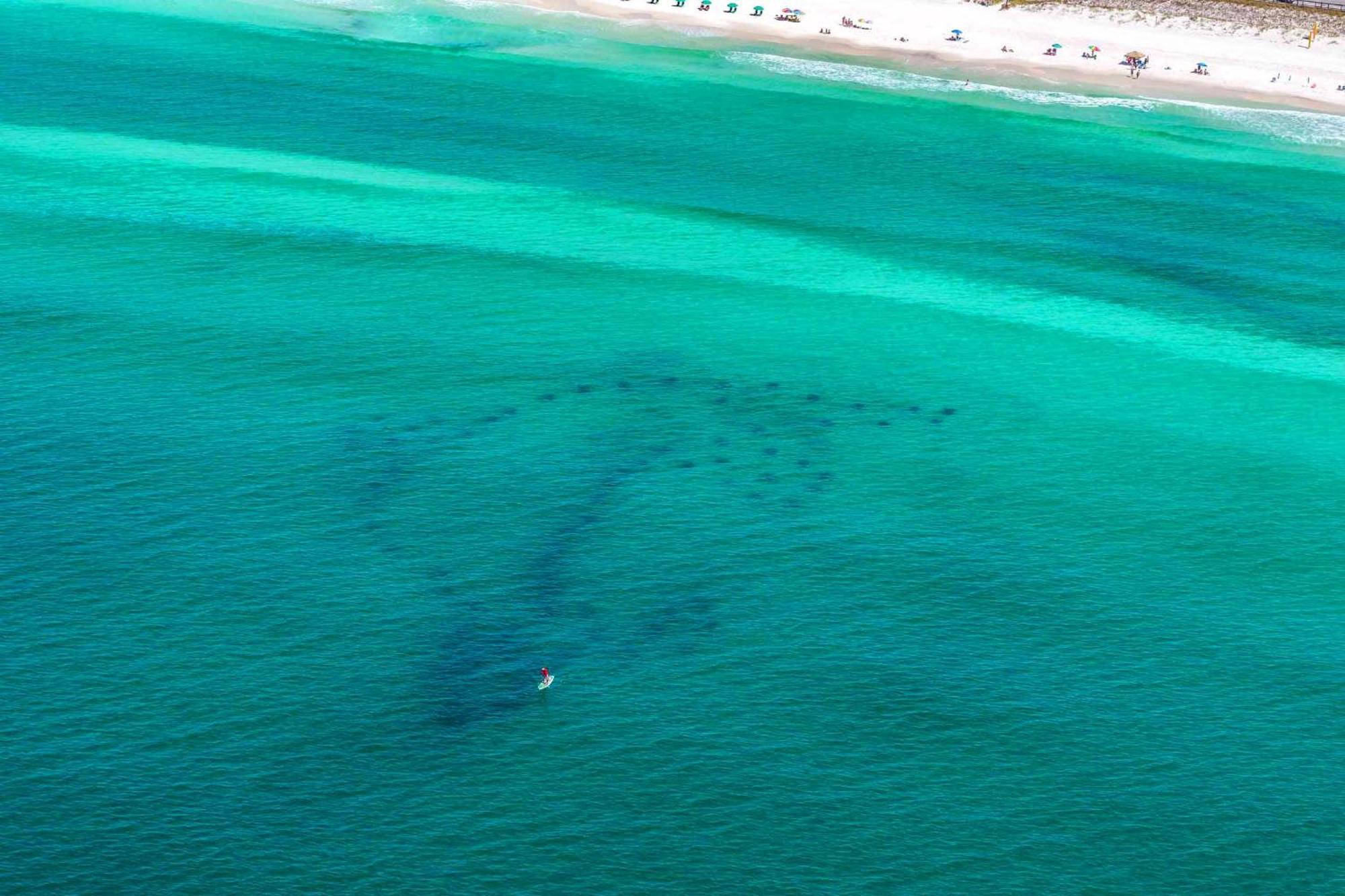 Ariel Dunes I 1107 Destin Bagian luar foto